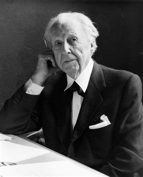 frank lloyd wright foundation biography of michael