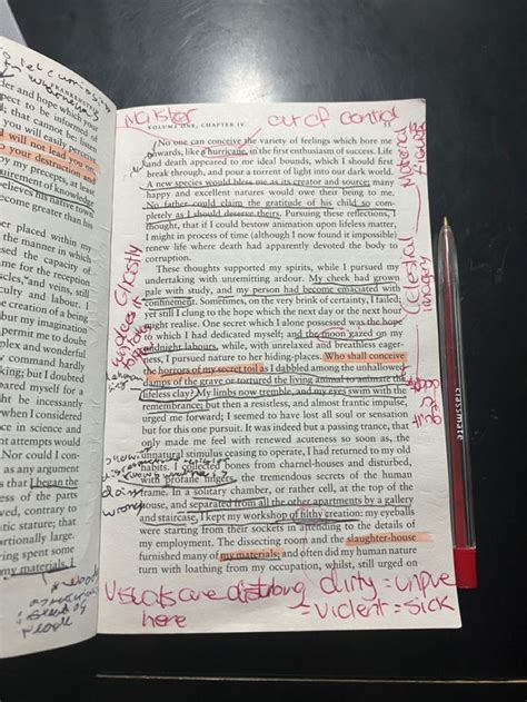 Frankenstein Book Annotations