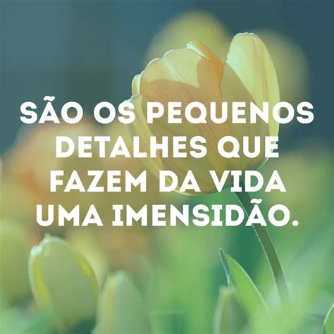 frases curtas para foto