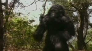 Fred Tepper Sasquatch
