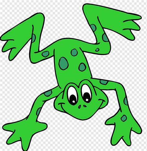 Fred The Frog