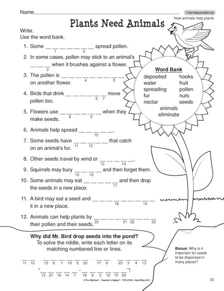 Free 2nd Grade Science Worksheets Tpt Science Second Grade Worksheet - Science Second Grade Worksheet
