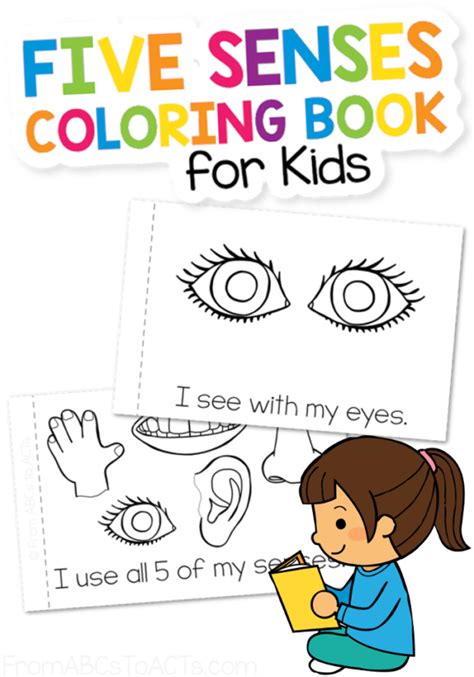 Free 5 Senses Coloring Pages Kindergarten Worksheets And 5 Senses Coloring Sheet - 5 Senses Coloring Sheet