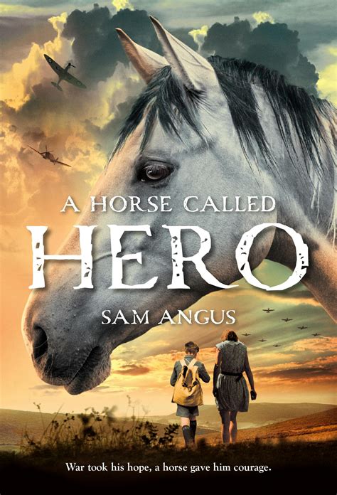 Free A Horse Called Hero Worksheets And Literature My Hero Worksheet - My Hero Worksheet