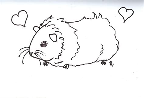 Free Amp Easy To Print Guinea Pig Coloring Guinea Pig Coloring Page - Guinea Pig Coloring Page