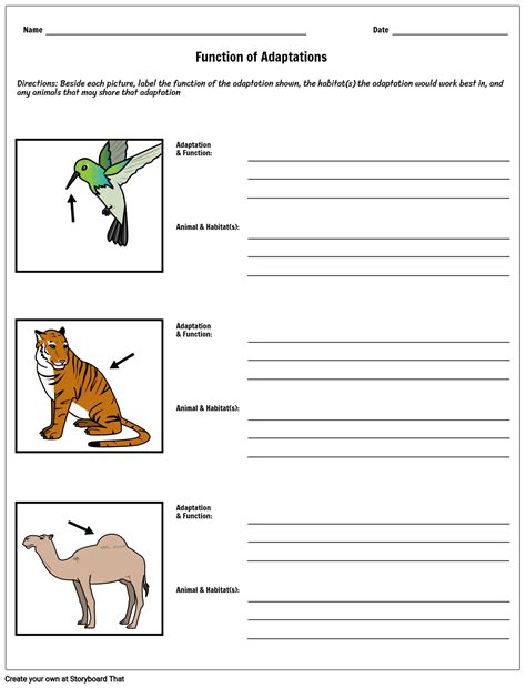 Free Animal Adaptations Worksheets Customize And Print Storyboard Adaptations 4th Grade Worksheet - Adaptations 4th Grade Worksheet