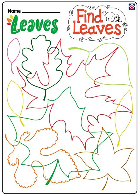 Free Autumn Worksheets Edhelper Com Leaf Worksheets For Kindergarten - Leaf Worksheets For Kindergarten