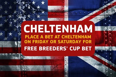 free bet cheltenham