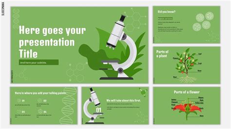 Free Biology Google Slides Themes And Powerpoint Templates Science Presentations Ideas - Science Presentations Ideas