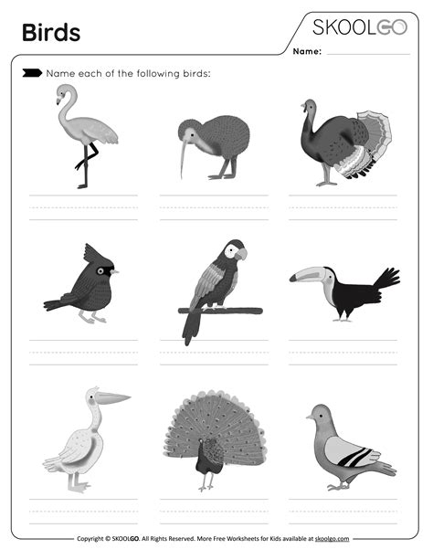 Free Bird Printable Worksheets Skoolgo Worksheets On Birds For Kindergarten - Worksheets On Birds For Kindergarten
