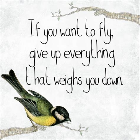 Free Bird Quotes
