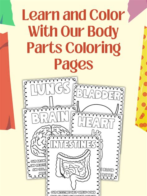 Free Body Parts Coloring Pages 24hourfamily Com Body Parts Coloring Pages For Toddlers - Body Parts Coloring Pages For Toddlers