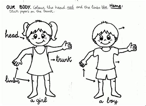 Free Body Parts Colouring Page For Toddlers Eyfs Body Parts Coloring Pages For Toddlers - Body Parts Coloring Pages For Toddlers