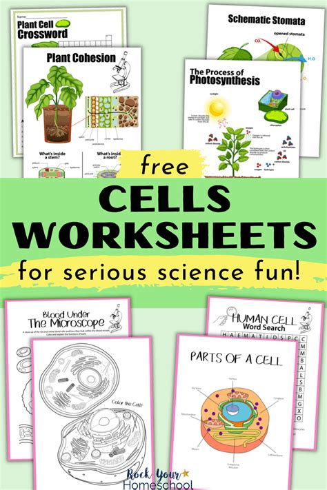 Free Cells Worksheets For Super Fun Science Activities Cell Parts Worksheet - Cell Parts Worksheet