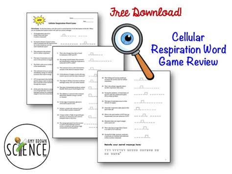 Free Cellular Respiration Review Classroom Freebies Cellular Respiration Middle School Worksheet - Cellular Respiration Middle School Worksheet