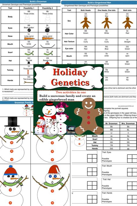 Free Christmas Activity Genetics Punnett Square Worksheet Middle Middle School Punnett Square Worksheet - Middle School Punnett Square Worksheet