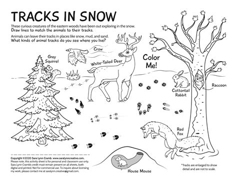 Free Deer Tracks Coloring Page Coloring Page Printables Animal Tracks Coloring Page - Animal Tracks Coloring Page