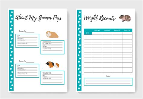 Free Downloadable Care Sheets For Guinea Pig Owners Guinea Pig Worksheet - Guinea Pig Worksheet