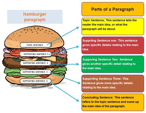 Free Editable Hamburger Paragraph Examples Edrawmax Online Hamburger Writing Organizer - Hamburger Writing Organizer