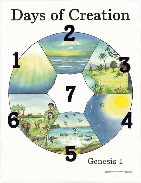 Free Genesis 7 Days Of Creation Printable Professor Days Of Creation Worksheet - Days Of Creation Worksheet