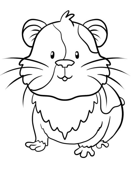 Free Guinea Pig Coloring Pages Amp Book For Guinea Pig Coloring Page - Guinea Pig Coloring Page