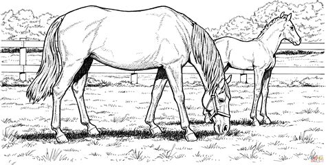 Free Horse Coloring Pages For Download Printable Pdf Draft Horse Coloring Pages - Draft Horse Coloring Pages