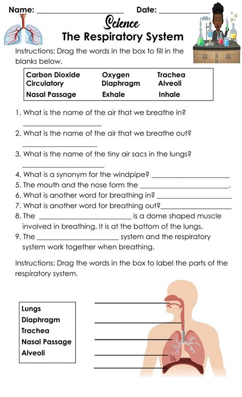 Free Human Body Lesson Plans Respiratory System Breathe Respiratory System For Kids Worksheet - Respiratory System For Kids Worksheet