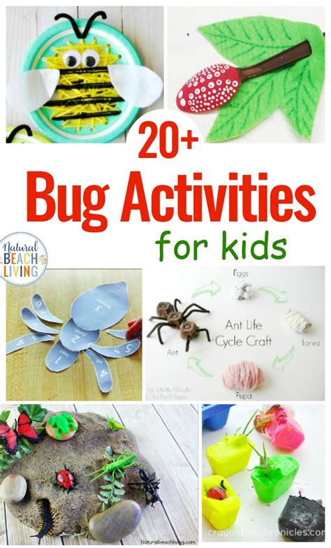 Free Insect Activities For Preschoolers Natural Beach Living Insect Body Parts For Kids - Insect Body Parts For Kids