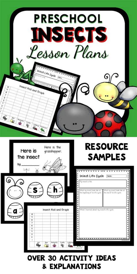 Free Insect Preschool Lesson Plans Stay At Home Insect Body Parts Preschool - Insect Body Parts Preschool