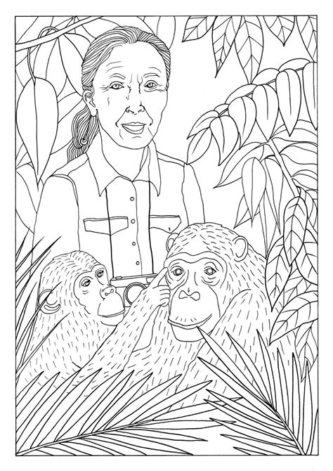 Free Jane Goodall And Chimpanzee Colouring Sheets Twinkl Jane Goodall Coloring Page - Jane Goodall Coloring Page