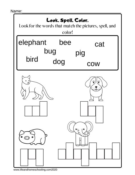 Free Kindergarten Spelling Worksheets Education Com Spell Kindergarten - Spell Kindergarten