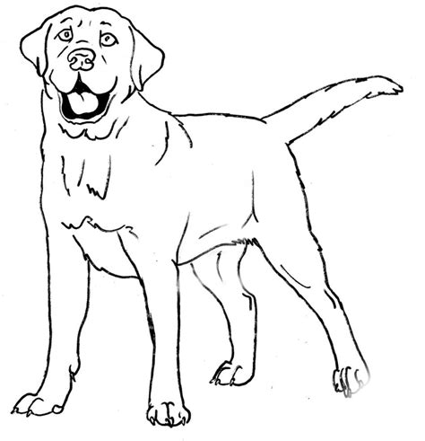 Free Labrador Dog Coloring Pages Amp Book For Labrador Retriever Coloring Pages - Labrador Retriever Coloring Pages