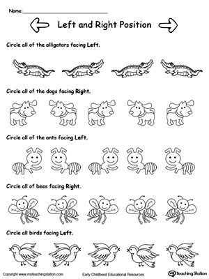 Free Left And Right Animals Myteachingstation Com Teaching Left And Right Worksheets - Teaching Left And Right Worksheets