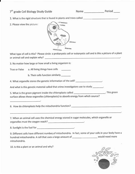 Free Life Science Worksheets For 5th Grade Life Science Worksheets - Life Science Worksheets