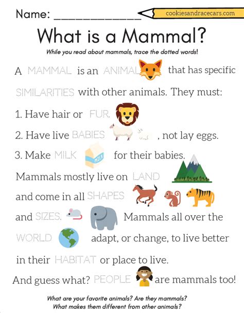 Free Mammals Worksheet Pack For Kids Mammal Worksheets First Grade - Mammal Worksheets First Grade