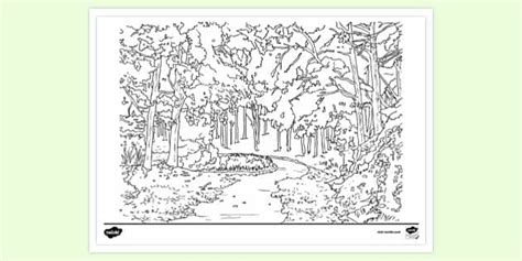 Free Nature Colouring Page Ks1 Resources Teacher Made Natural Resources Coloring Pages - Natural Resources Coloring Pages