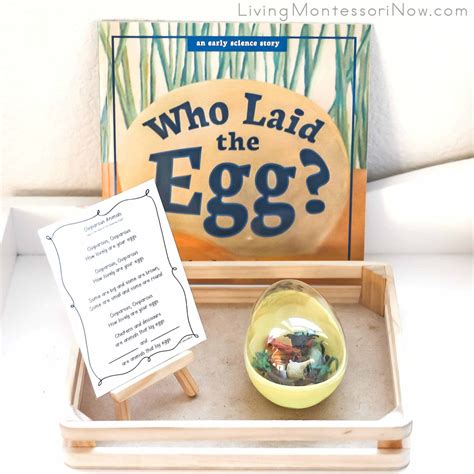 Free Oviparous Animal Printables And Montessori Inspired Oviparous Animals That Hatch From Eggs Preschool - Animals That Hatch From Eggs Preschool