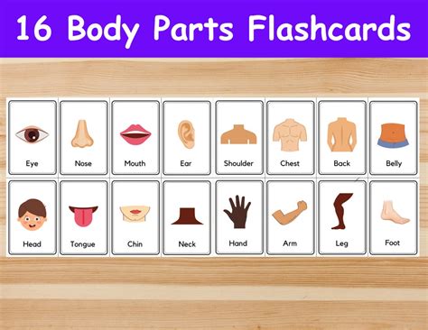 Free Parts Of The Body Flashcards Games4esl Preschool Body Parts Flashcards Printable - Preschool Body Parts Flashcards Printable