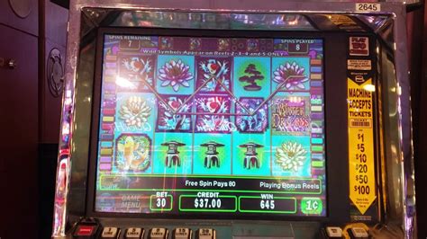 free penny slot machines.com dvmq