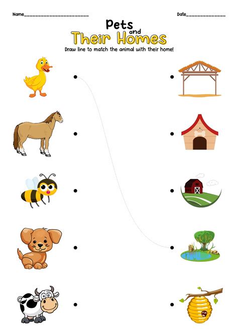 Free Pet Themed Preschool Worksheets My Pre K Vet Worksheet  Preschool - Vet Worksheet [preschool