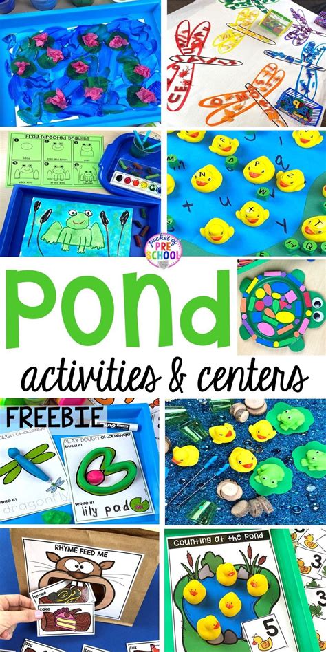 Free Pond Pack For Tot Preschool Kindergarten And Pond Life Worksheet - Pond Life Worksheet