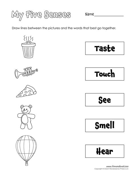 Free Printable 5 Senses Worksheet For Preschool Pictures Of Five Senses For Preschoolers - Pictures Of Five Senses For Preschoolers