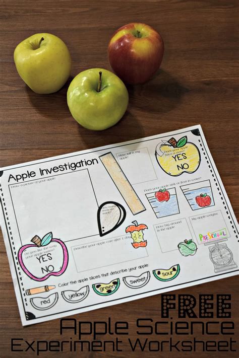 Free Printable Apple Science Experiment Worksheet Printable Science For Preschoolers - Printable Science For Preschoolers