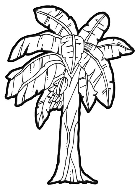 Free Printable Banana Tree Coloring Pages For Kids Banana Tree Coloring Page - Banana Tree Coloring Page