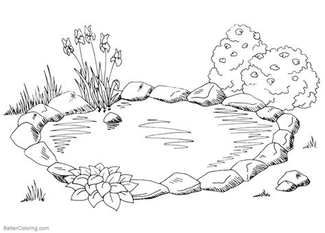 Free Printable Coloring Pages Of Pond Colorlink Art Pond Life Coloring Page - Pond Life Coloring Page