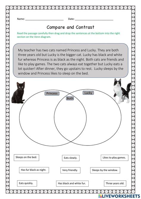 Free Printable Comparing And Contrasting Worksheets For 3rd Compare And Contrast Third Grade - Compare And Contrast Third Grade