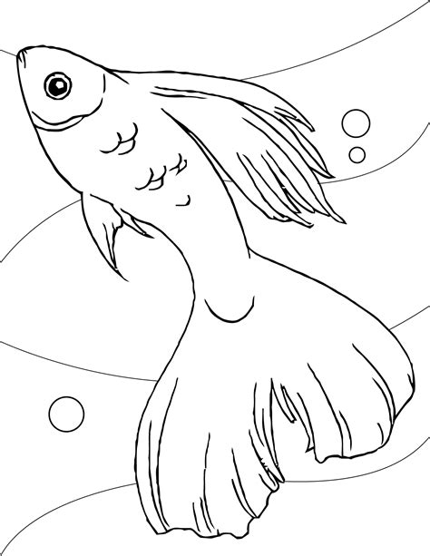 Free Printable Fish Coloring Pages For Kids Easy Fish Picture For Colouring - Fish Picture For Colouring