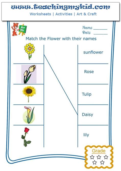 Free Printable Flower Match The Worksheets Preschool 123 Preschool Flower Theme Worksheets - Preschool Flower Theme Worksheets