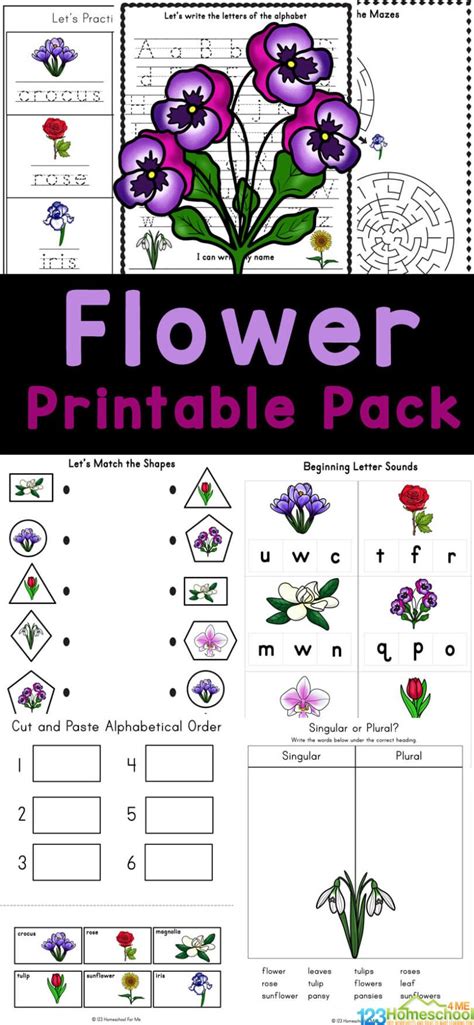 Free Printable Flower Worksheets For Kids 123 Homeschool Flower Labeling Worksheet For Kindergarten - Flower Labeling Worksheet For Kindergarten