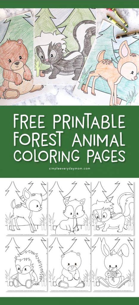 Free Printable Forest Animals Coloring Pages To Print Forest Animal Coloring Pages - Forest Animal Coloring Pages